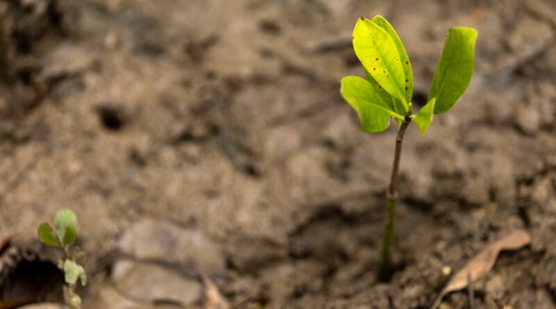 Día Internacional de los Humedales: guardianes del agua y la biodiversidad Día Internacional de los Humedales: guardianes del agua y la biodiversidad
