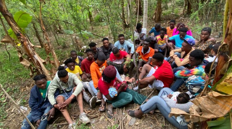 Interceptan grupo de 30 haitianos indocumentados en zona montañosa de Guayubín