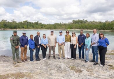 Manatí Jean Pedro regresa al mar después de una exitosa recuperación en la Bahía de Bayahíbe