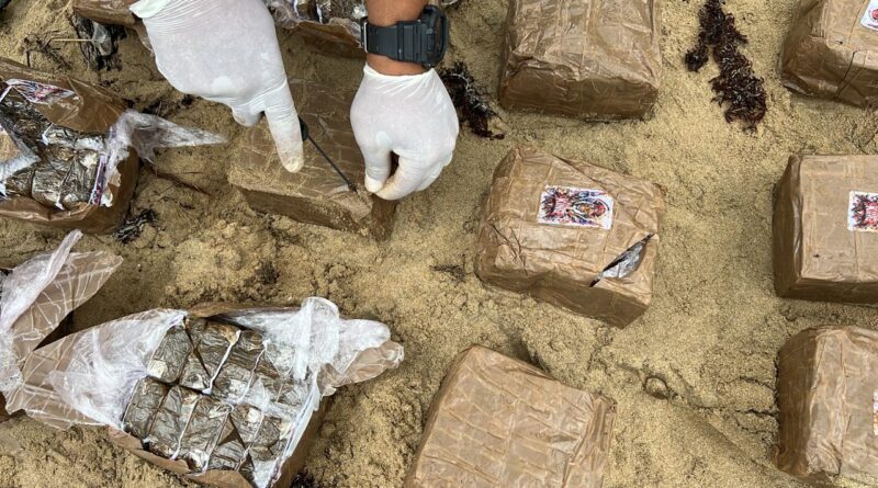 Ocupan 19 pacas de hachís en Miches