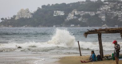 Tormenta tropical Boris se debilita y baja a presión remanente en el sur de México