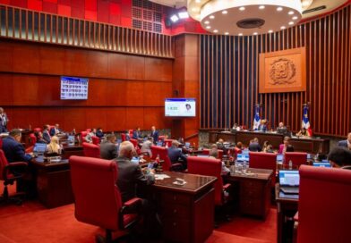 Senado aprueba en primera lectura reformas a Ley Orgánica de la Policía Nacional Senado aprueba en primera lectura reformas a Ley Orgánica de la Policía Nacional
